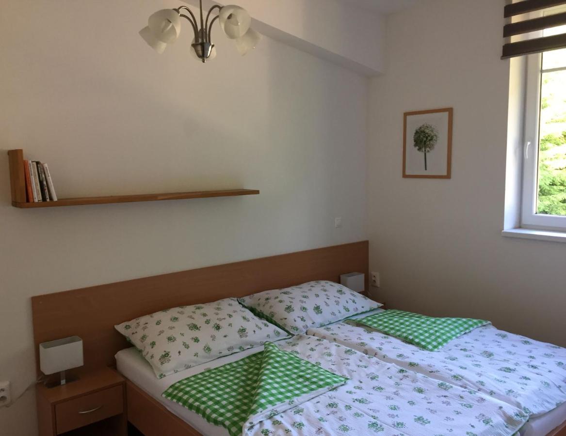 Apartman U Sjezdovky Velké Karlovice Buitenkant foto
